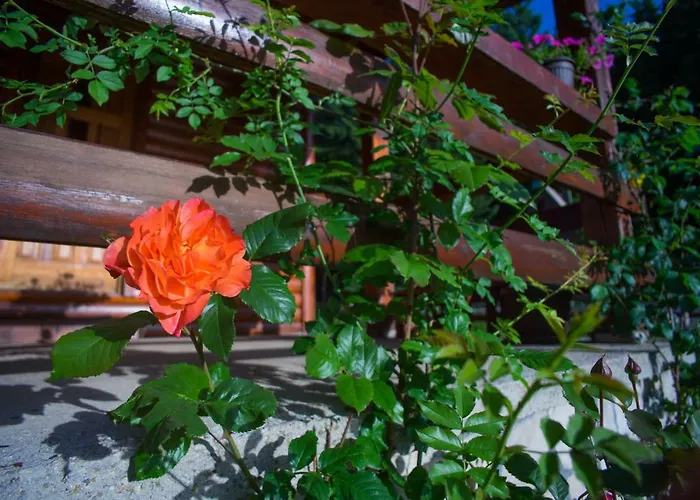 Sibalic Apartmani