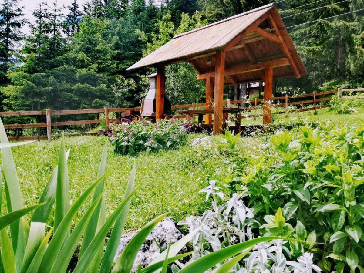 Apartment Sibalic Zabljak (Zabljak)