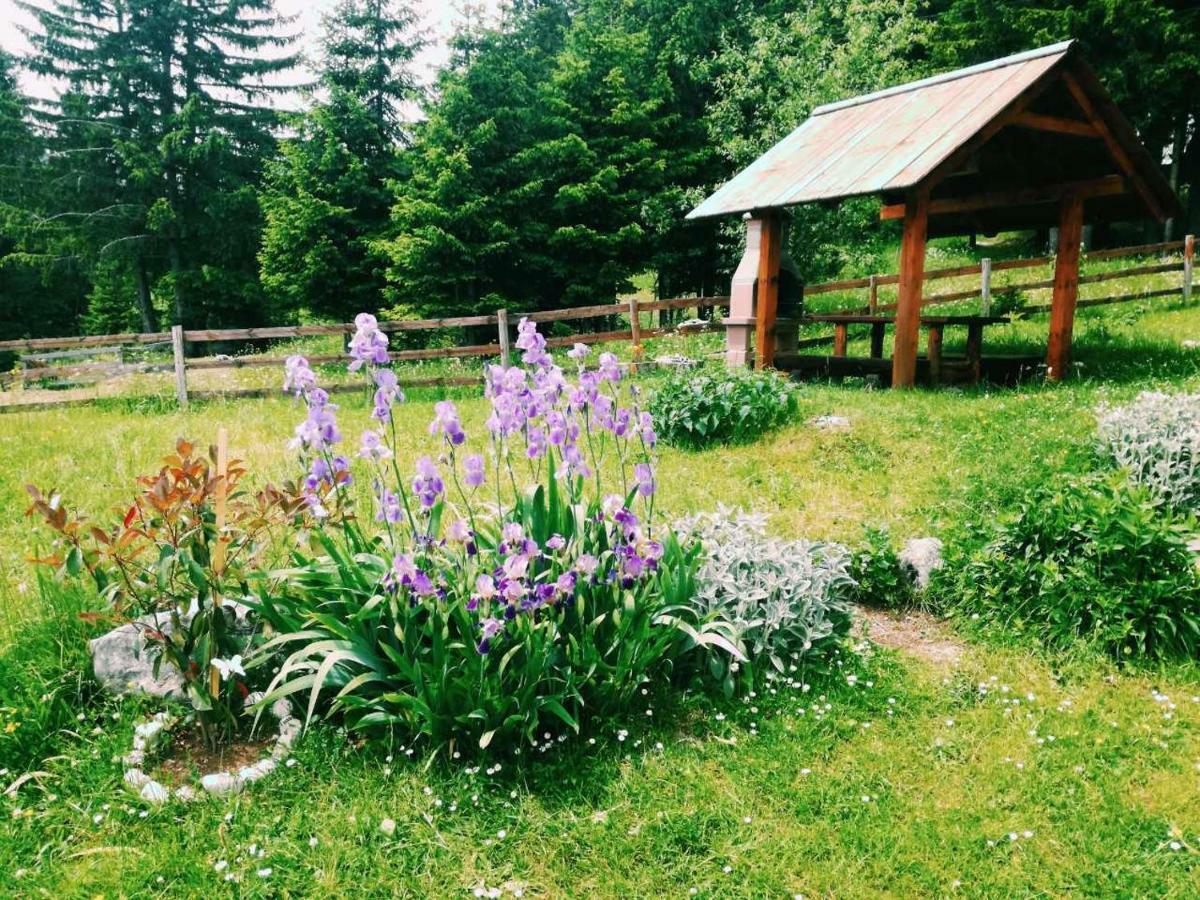 Sibalic * Zabljak (Zabljak)